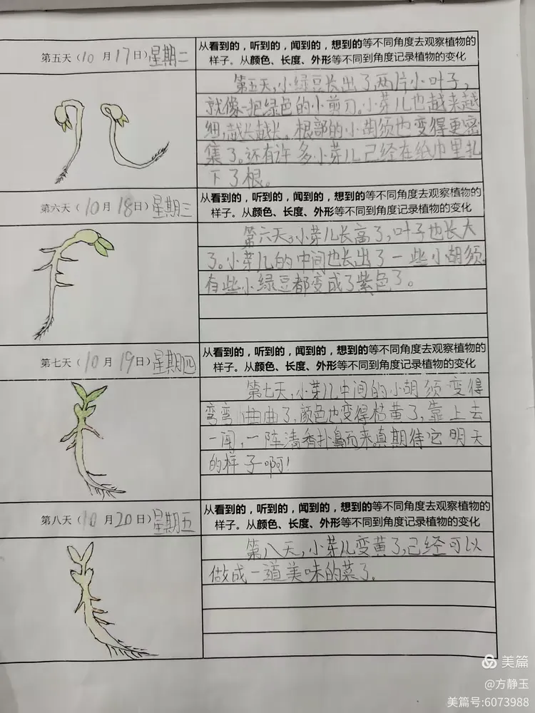 把活动记录表制作的非常有趣,有的画出可爱的漫画版豆芽,有的拍照并